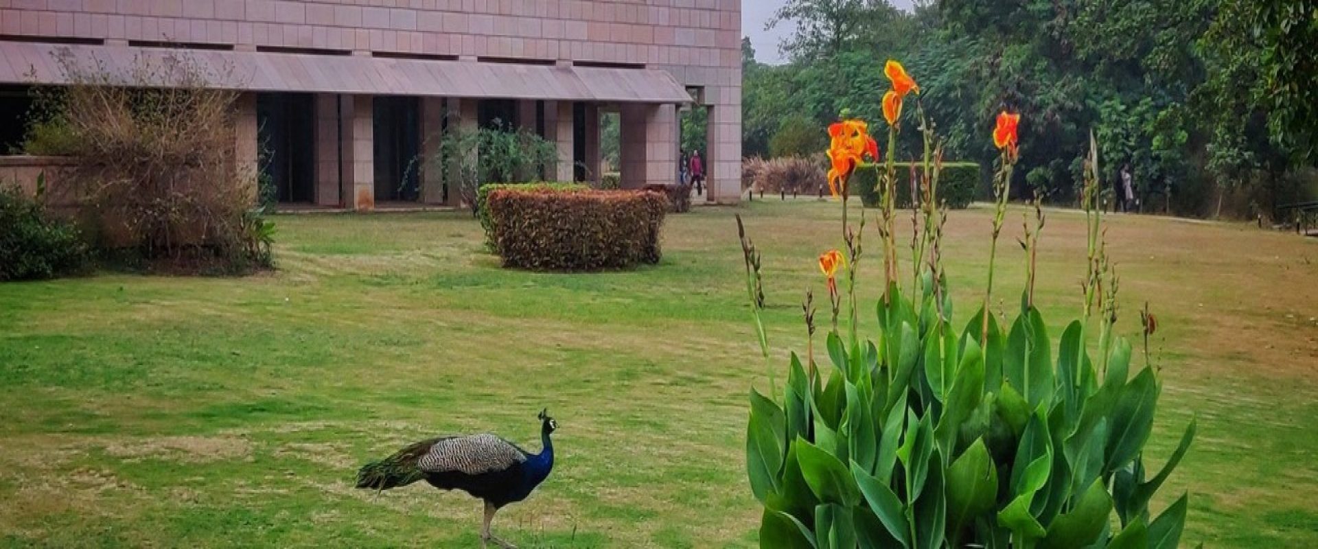 Isb sample essays 2010 image